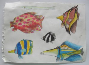 ????????????????????????